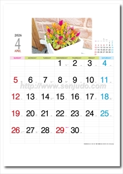 YK-823 カラフルガーデン画像2